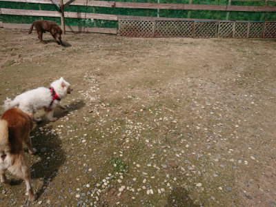 f:id:roukenhome-ann:20190710144417j:plain