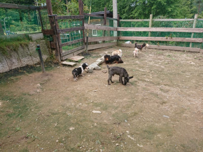 f:id:roukenhome-ann:20190710144429j:plain