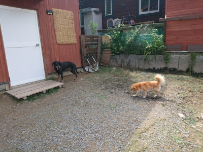f:id:roukenhome-ann:20190710144434j:plain