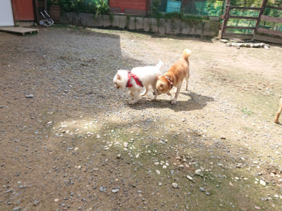 f:id:roukenhome-ann:20190710144528j:plain