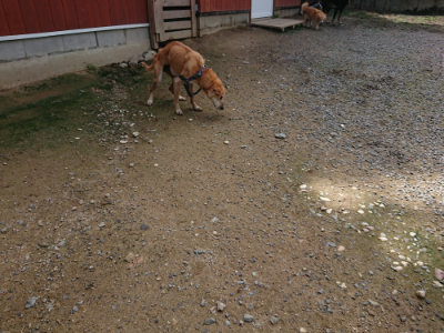 f:id:roukenhome-ann:20190710144533j:plain