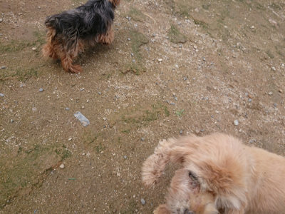 f:id:roukenhome-ann:20190710144548j:plain