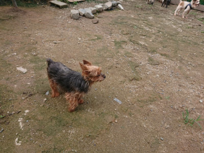 f:id:roukenhome-ann:20190710144604j:plain
