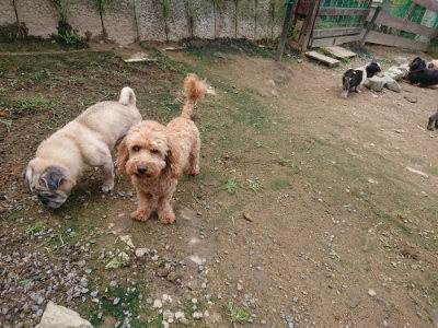 f:id:roukenhome-ann:20190710144615j:plain