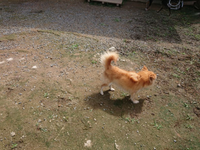 f:id:roukenhome-ann:20190710144619j:plain