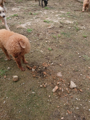 f:id:roukenhome-ann:20190710144645j:plain