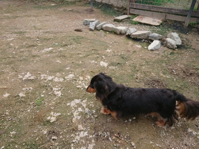 f:id:roukenhome-ann:20190710144702j:plain