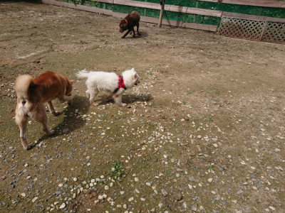 f:id:roukenhome-ann:20190710144718j:plain