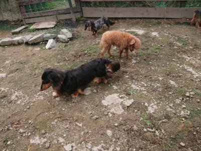 f:id:roukenhome-ann:20190710144722j:plain