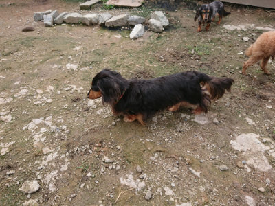 f:id:roukenhome-ann:20190710144727j:plain