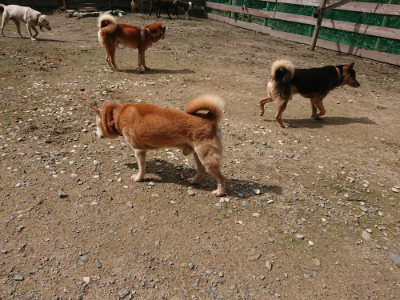 f:id:roukenhome-ann:20190710144736j:plain