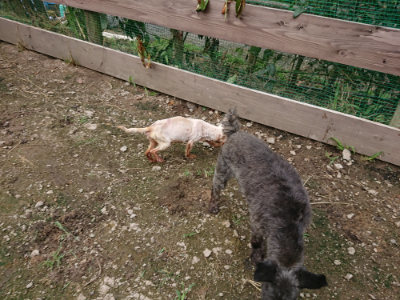 f:id:roukenhome-ann:20190710144742j:plain