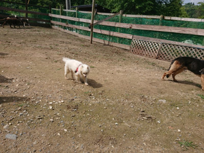 f:id:roukenhome-ann:20190710144753j:plain