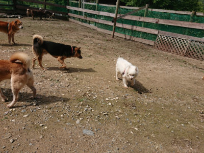 f:id:roukenhome-ann:20190710144757j:plain