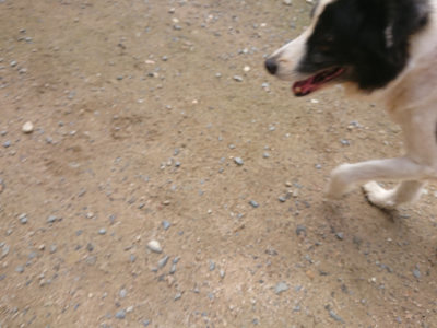 f:id:roukenhome-ann:20190710144811j:plain