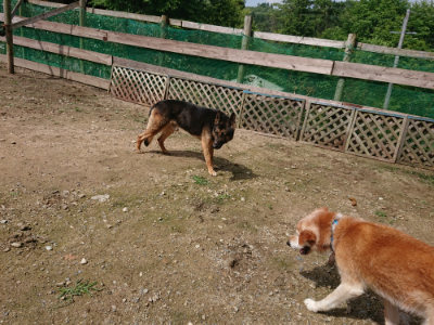 f:id:roukenhome-ann:20190710144822j:plain