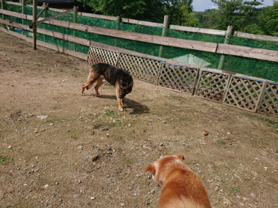 f:id:roukenhome-ann:20190710144842j:plain