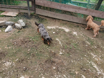 f:id:roukenhome-ann:20190710144909j:plain