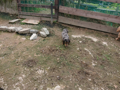 f:id:roukenhome-ann:20190710144928j:plain