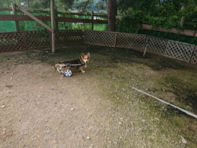 f:id:roukenhome-ann:20190711113624j:plain