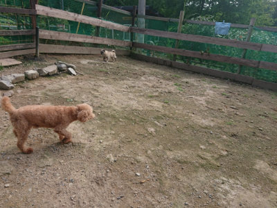 f:id:roukenhome-ann:20190711113640j:plain