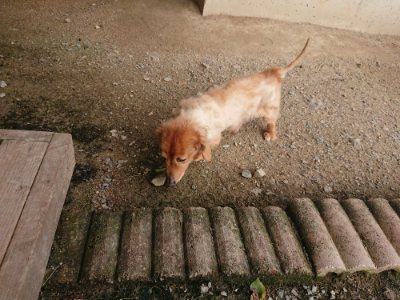 f:id:roukenhome-ann:20190711113645j:plain