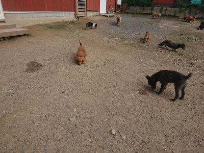 f:id:roukenhome-ann:20190711113711j:plain