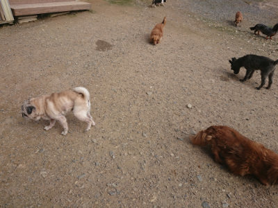 f:id:roukenhome-ann:20190711113725j:plain