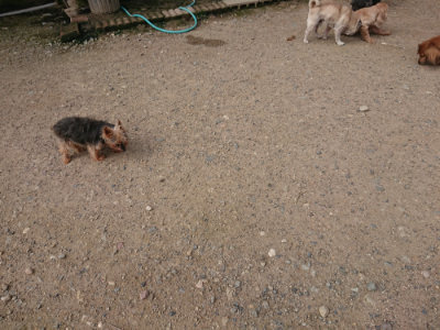 f:id:roukenhome-ann:20190711113745j:plain