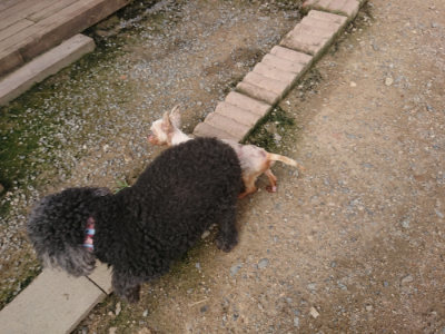 f:id:roukenhome-ann:20190711113749j:plain