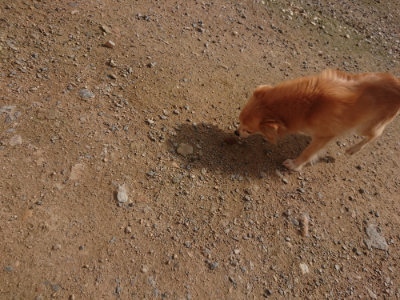 f:id:roukenhome-ann:20190711113759j:plain