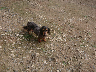 f:id:roukenhome-ann:20190711113811j:plain