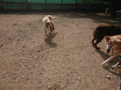 f:id:roukenhome-ann:20190711113816j:plain