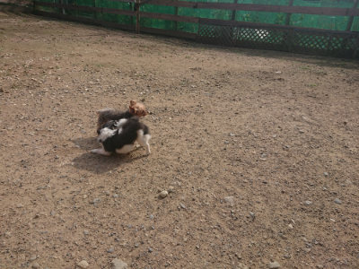 f:id:roukenhome-ann:20190711113820j:plain