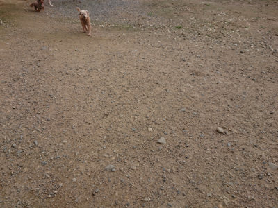 f:id:roukenhome-ann:20190711113830j:plain