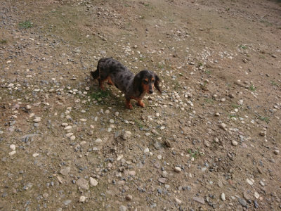 f:id:roukenhome-ann:20190711113835j:plain