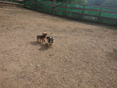 f:id:roukenhome-ann:20190711113847j:plain