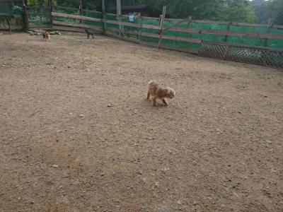 f:id:roukenhome-ann:20190711113851j:plain