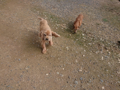 f:id:roukenhome-ann:20190711113857j:plain