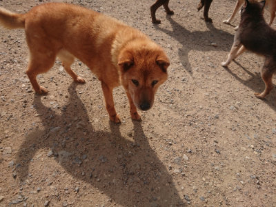 f:id:roukenhome-ann:20190711113902j:plain
