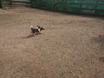 f:id:roukenhome-ann:20190711113907j:plain