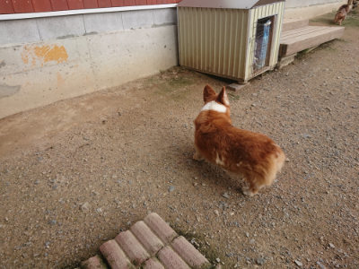 f:id:roukenhome-ann:20190711113911j:plain