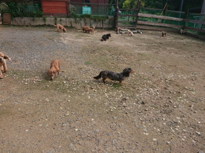 f:id:roukenhome-ann:20190711113915j:plain