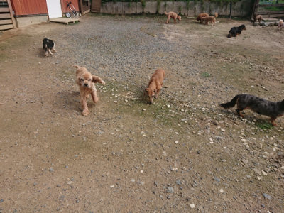 f:id:roukenhome-ann:20190711113921j:plain