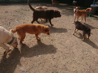 f:id:roukenhome-ann:20190711113927j:plain