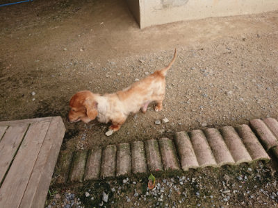 f:id:roukenhome-ann:20190711113942j:plain