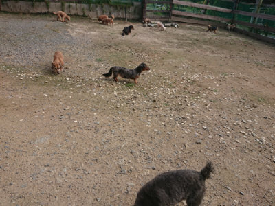 f:id:roukenhome-ann:20190711113947j:plain