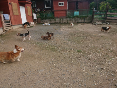 f:id:roukenhome-ann:20190711114031j:plain