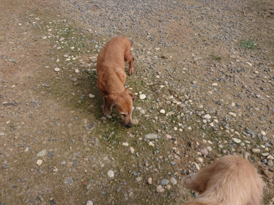 f:id:roukenhome-ann:20190711114035j:plain