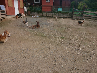 f:id:roukenhome-ann:20190711114049j:plain